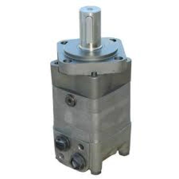 Hidro Motor (BMS Serisi Mil Çapı 32 MM)