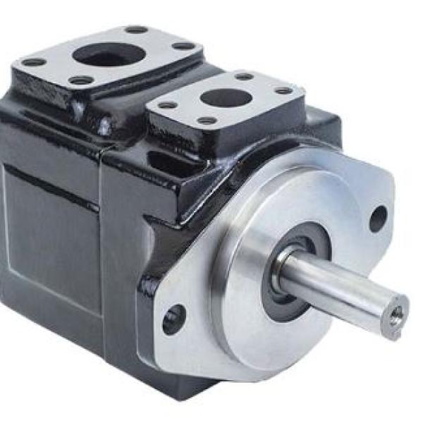 45V Gövde Sabit Debili Paletli Pompalar